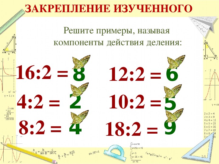 Компоненты деления