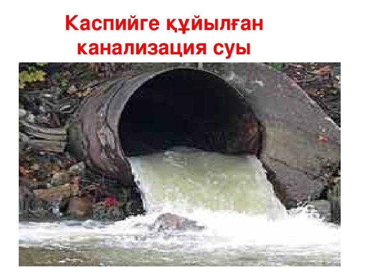 Каспий экологисы