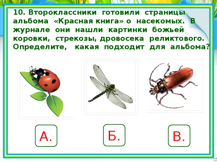 Далее представлю. Задания по теме красная книга. Насекомое занесено в красную книгу дровосек, Стрекоза, Божья коровка. Божьи коровки с стрекозой занесены в красную книгу.