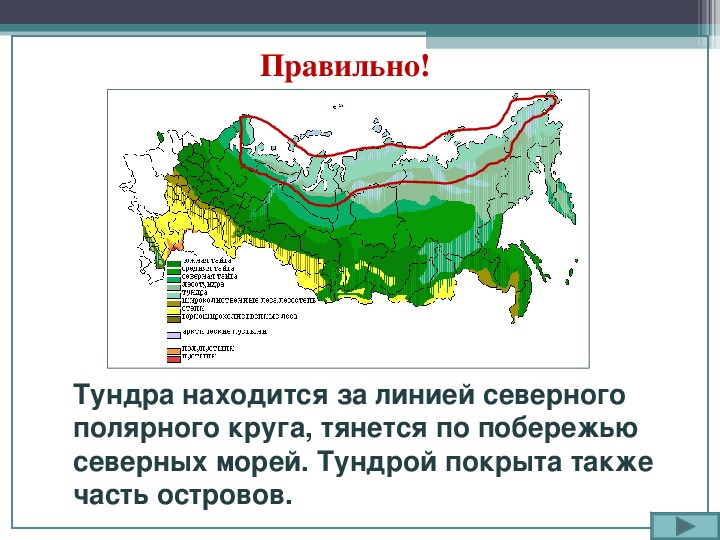 Презентация лесные зоны россии 8 класс полярная звезда