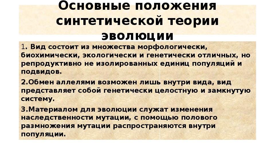 Основные положения синтетической теории эволюции презентация