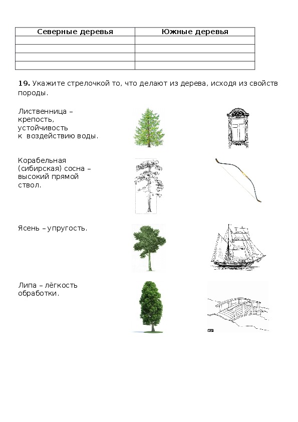 История одной яблоньки комплексная работа 2 класс. Спор деревьев Ушинский. Иллюстрация спор деревьев Ушинского. Спор деревьев комплексная работа. Ушинский рассказы для детей спор деревьев.