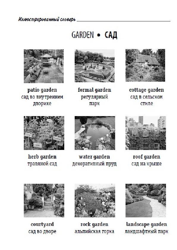 Обложка для материала Иллюстрированный словарь английских слов