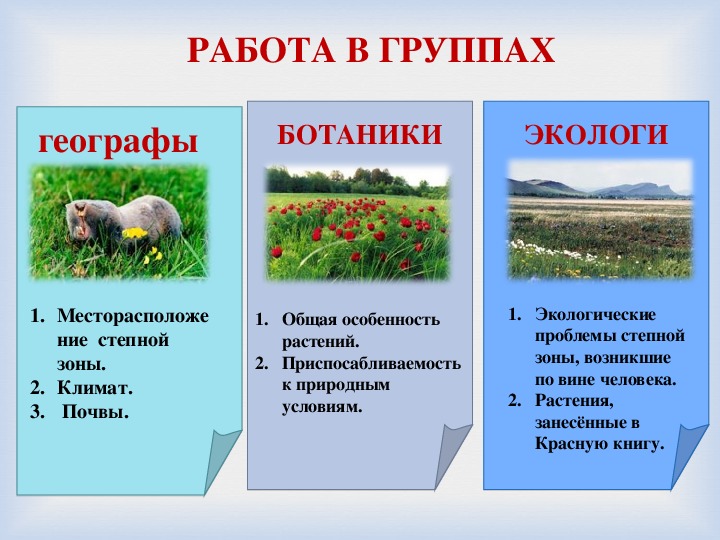 Экологические проблемы степи. Экология степи. Экологические проблемы Степной зоны. Экологические проблемы Степной зоны возникшие по вине человека. Экологическая проблема природной зоны степи.