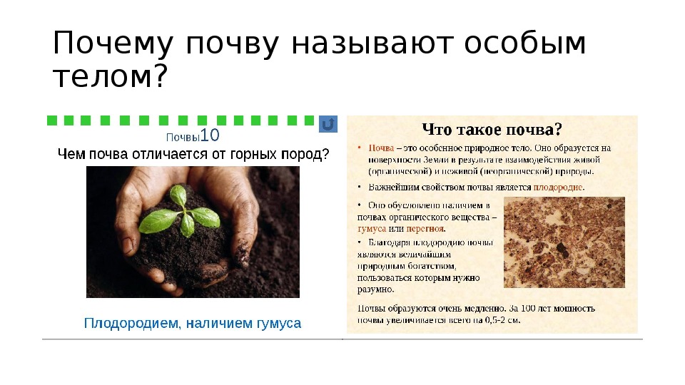 География 6 класс тема почва. Почва. Почва презентация. Презентация по теме почва. Презентация на тему почва.