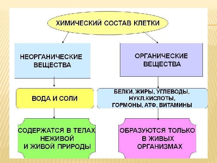 Проект по химии на тему соли в неживой природе