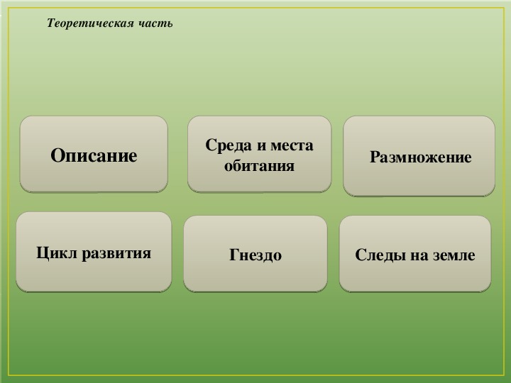 Среды описание. Место обитания и размножение.