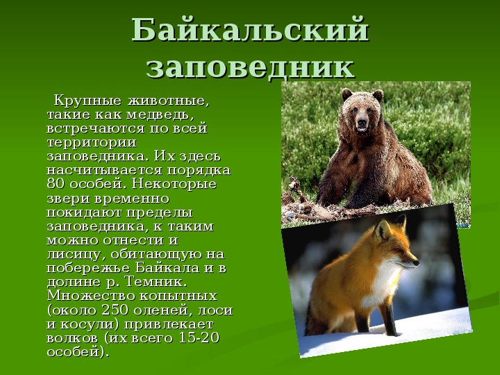 Этот вид животного охраняется. Рассказ о заповеднике. Сообщение о заповеднике. Доклад о заповеднике. Доклад про заповедник 3 класс.