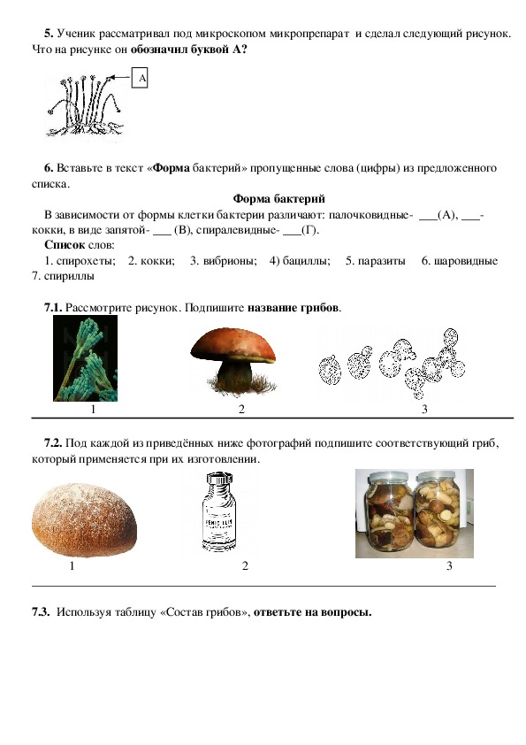 Контрольная работа по биологии на тему бактерии и грибы 5 класс. Тест грибы 6 класс биология с ответами. Контрольная работа 5 класс биология царство грибов.