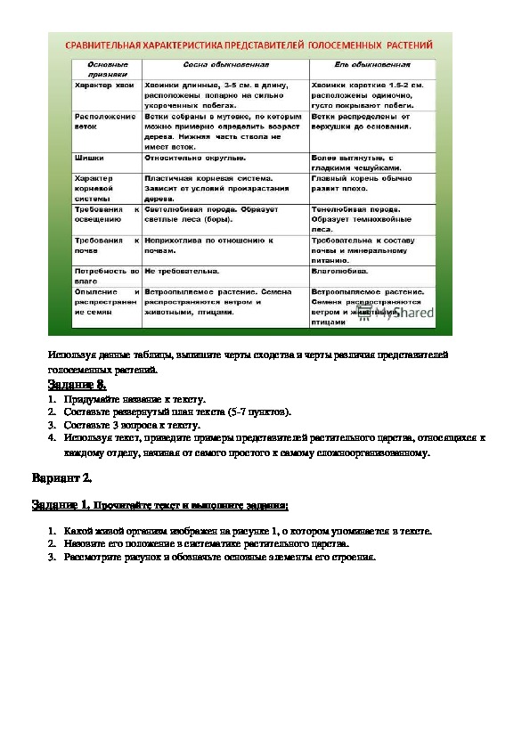 Контрольная работа растительные сообщества 7 класс. Проверочная работа многообразие растений. Контрольная работа по теме многообразие растений. Тест по биологии многообразие растений. Проверочная работа по теме многообразие растений".