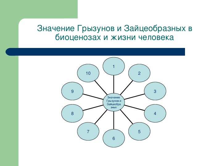 Издавна человек мечтал придать изображению изо 8 класс