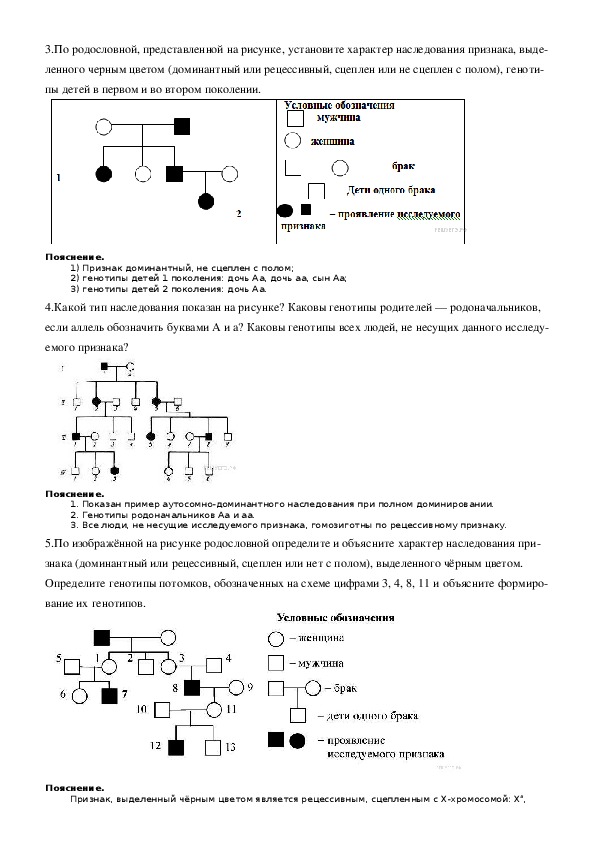 Задачи по генетике егэ биология 2024