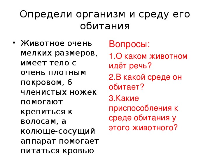 Определи организмы