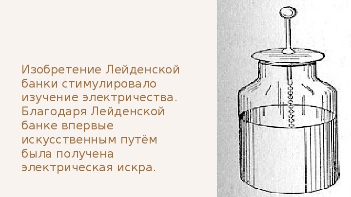 Схема лейденская банка