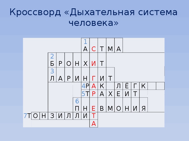 Предки человека кроссворд. Кроссворд по дыхательной системе. Кроссворд по теме дыхательная система. Кроссворд органы дыхания. Кроссворд на тему болезни органов дыхания.