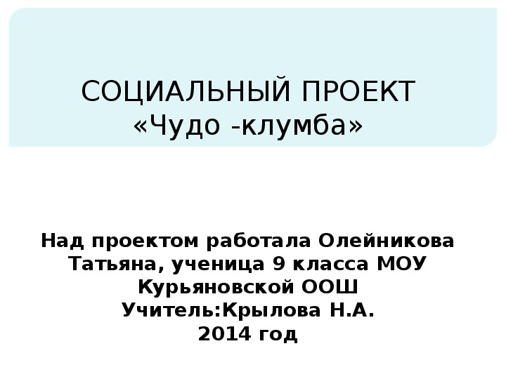 СОЦИАЛЬНЫЙ ПРОЕКТ«Чудо -клумба»