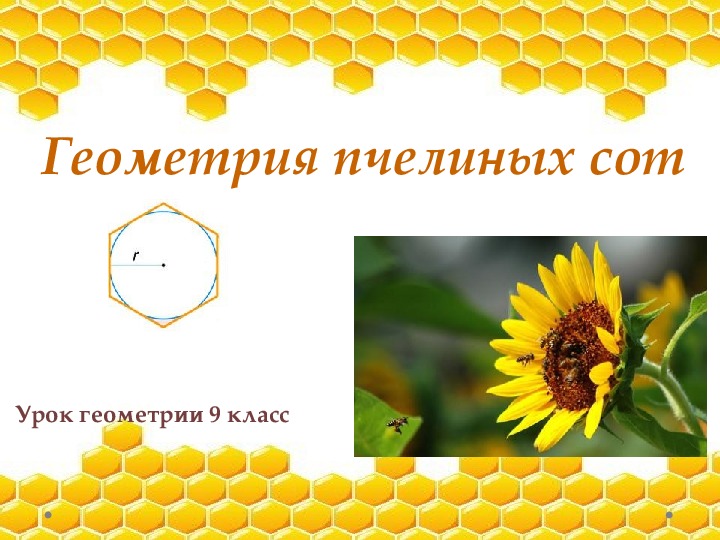 Урок геометрии по ФГОС "Правильные многоугольники в природе (Геометрия пчелиных сот)"