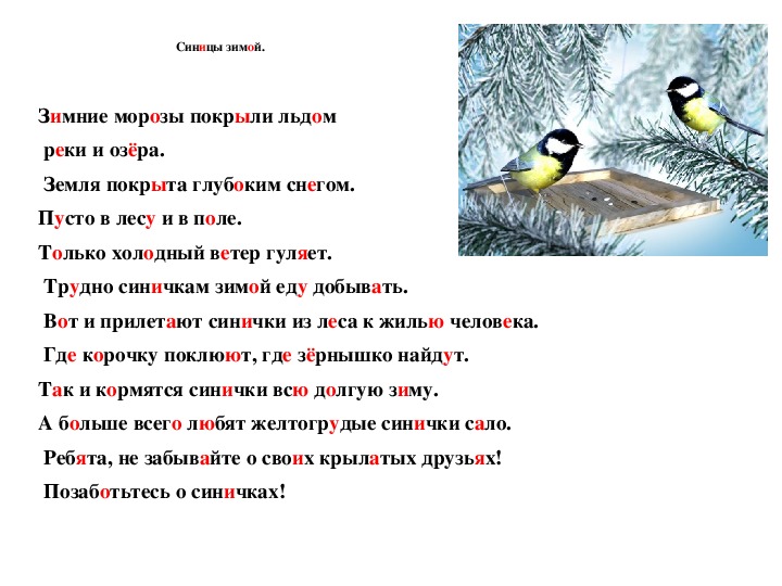 Текст про синицу. Диктант синички 3 класс. Текст синичка.