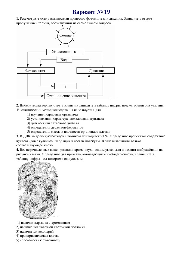 ЕГЭ. Биология. Вариант № 19