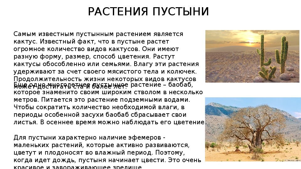 Укажите растения пустынь