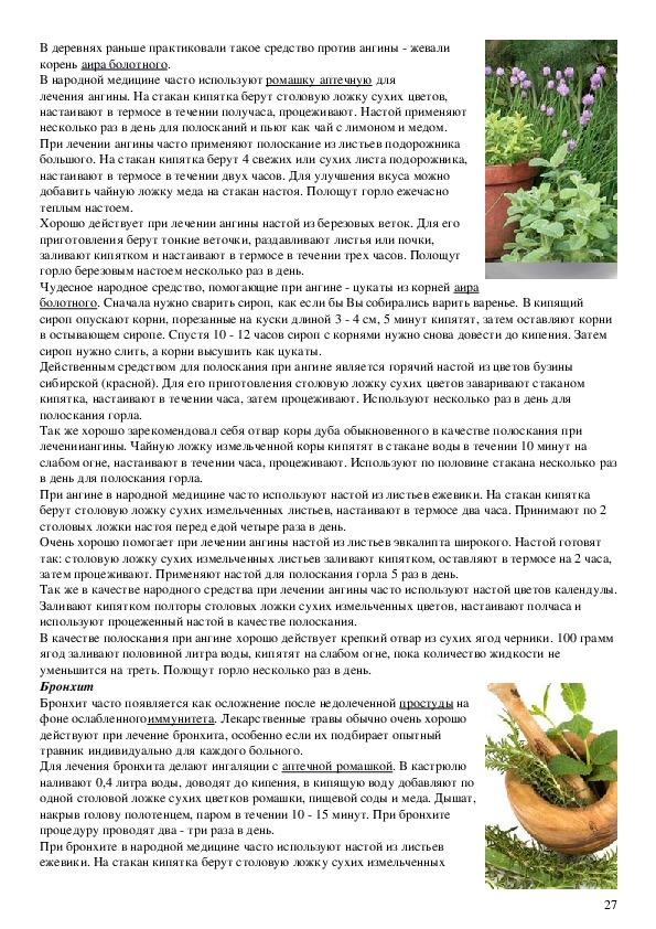 Проект "Лекарственные растения"