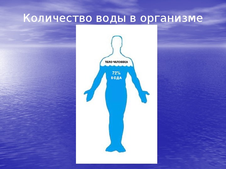 Вода в теле человека. Круговорот воды в организме человека. Вода в человеческом организме. Циркуляция воды в организме.