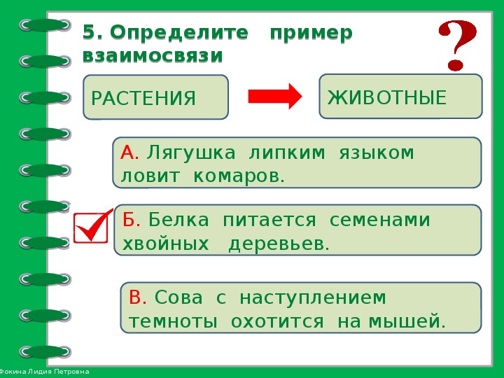 Презентация школа россии 2 класс невидимые нити