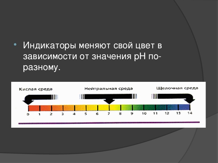 Презентация на тему природные индикаторы