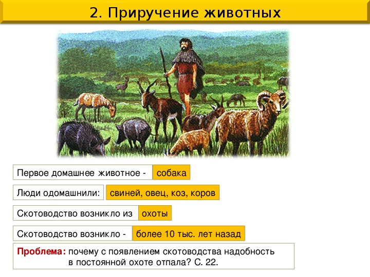 Приручение. Приручение животных. Возникновение земледелия и скотоводства схема. Приручение и одомашнивание животных. Таблица одомашненных животных.