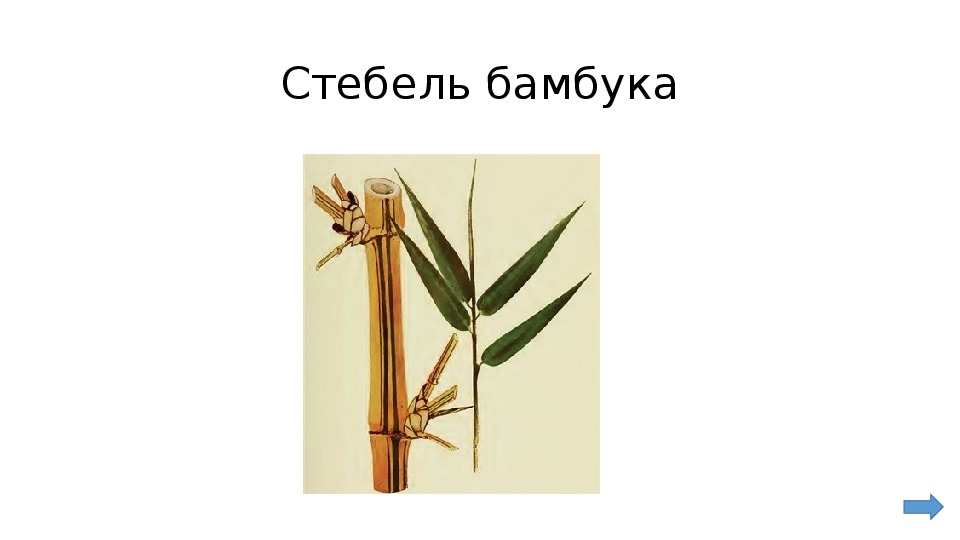 Слово стебель