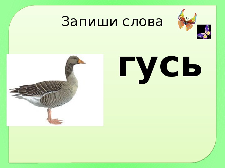 Схема к слову гусь