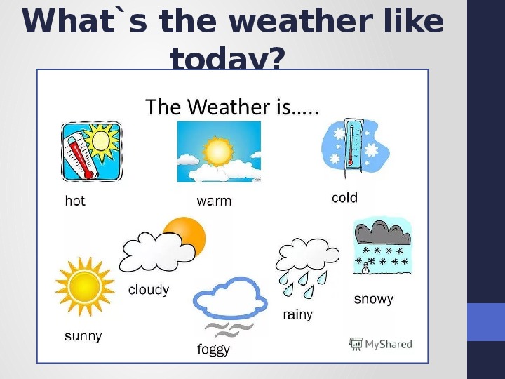 Презентация what is the weather like