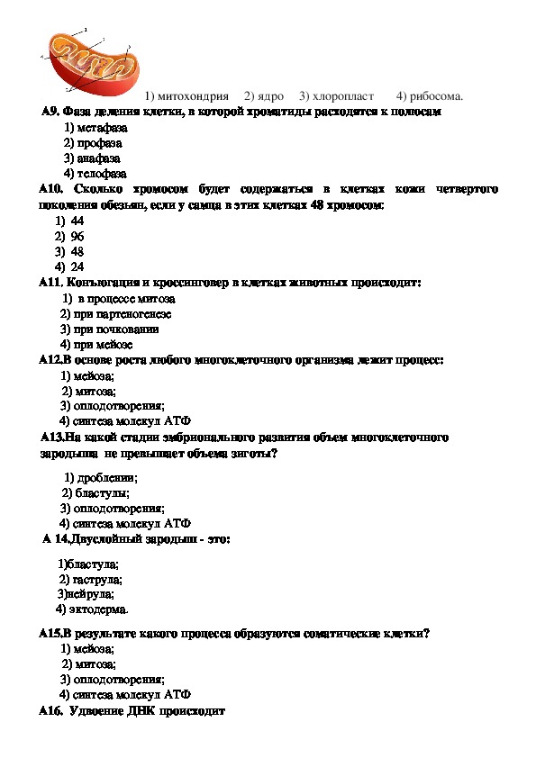 Годовой проект по биологии 9 класс