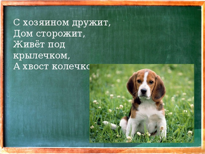 С маршак хороший день по м пляцковскому сердитый дог буль презентация