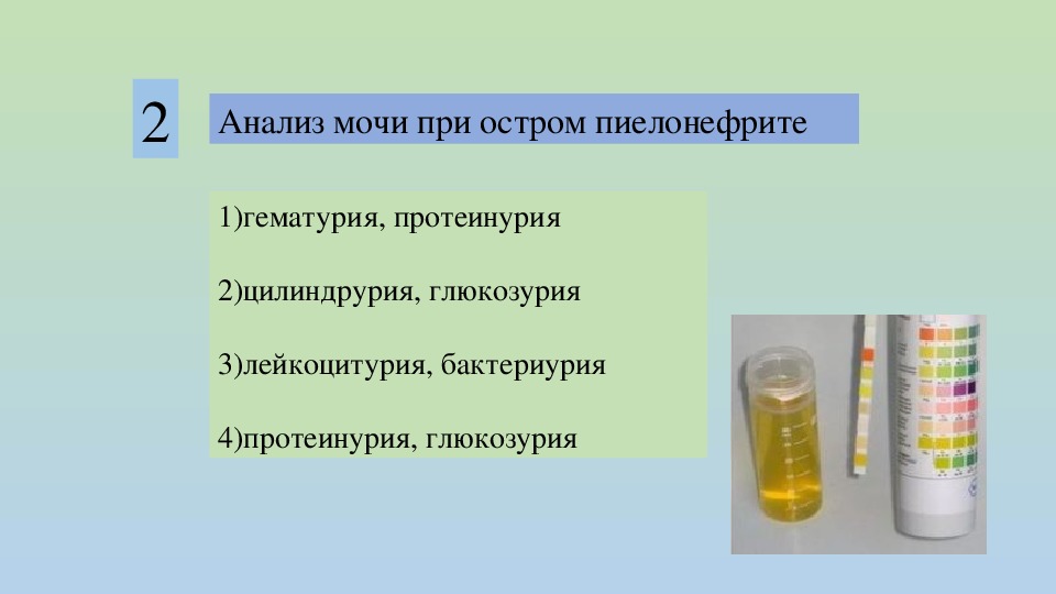 Моча при пиелонефрите фото