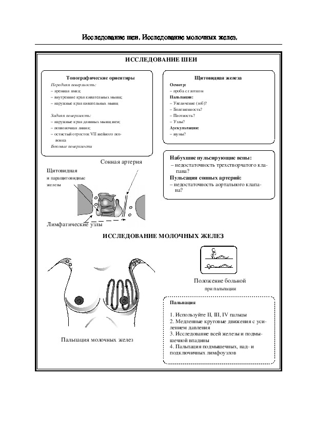 Исследование шеи. Исследование молочных желез.
