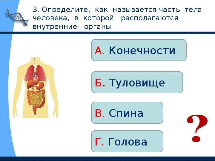 Контрольная работа по теме организм