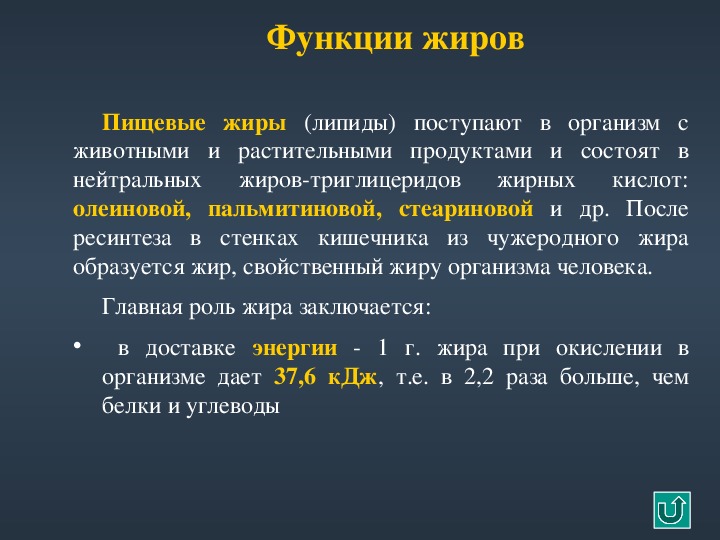 Какие положительные функции выполняют жир в организме