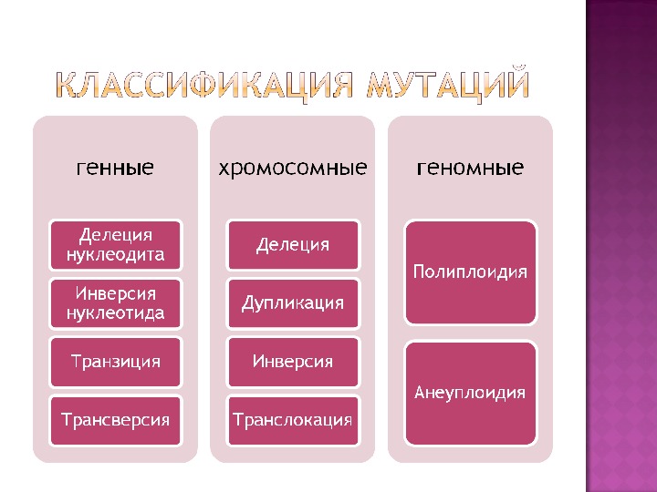 Классификация мутаций схема