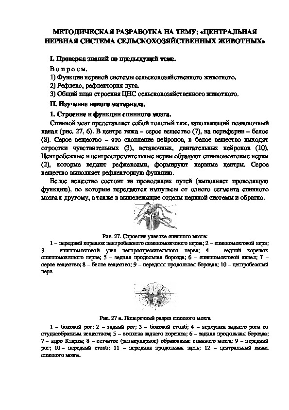 МЕТОДИЧЕСКАЯ РАЗРАБОТКА НА ТЕМУ: «ЦЕНТРАЛЬНАЯ НЕРВНАЯ СИСТЕМА СЕЛЬСКОХОЗЯЙСТВЕННЫХ ЖИВОТНЫХ»