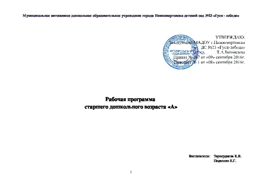 Обложка для материала Рабочая программа  старшего дошкольного возраста