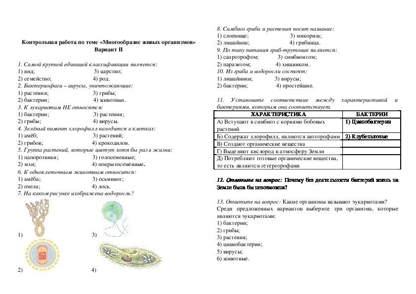 Простейшие контрольная