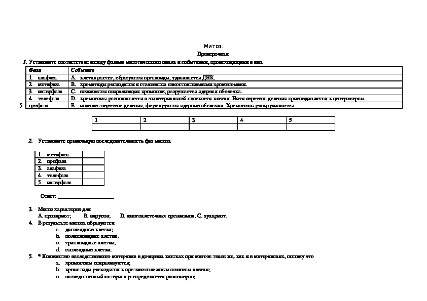 Проверочная. Митоз.