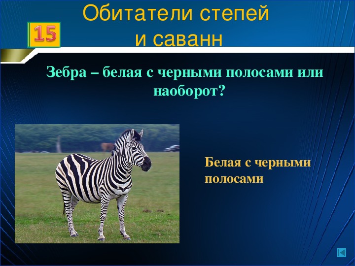 Разнообразие животных 9 класс биология. Многообразие зверей 7 класс биология. Гибрид 5 класс биология.