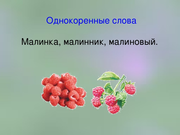 Малиновый суффикс. Однокоренные слова к слову малинник. Однокоренные слова к слову малина 2 класс. Малиновка однокоренные слова. Слово малина.