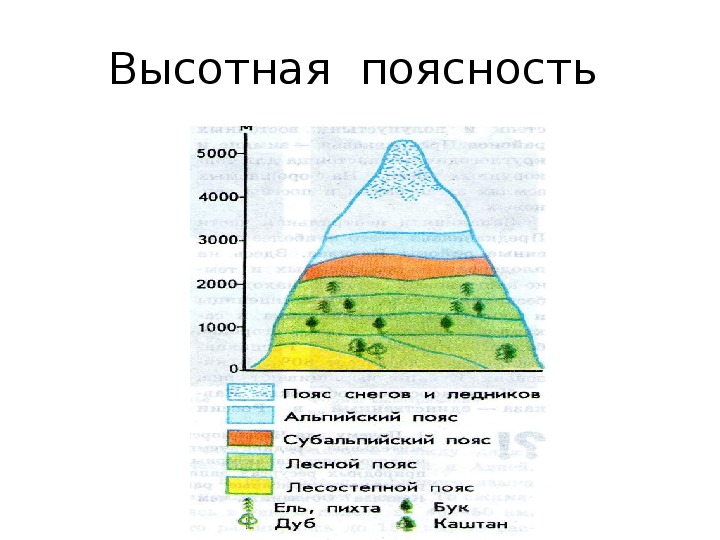 Природные зоны кавказа таблица. Высотная поясность в горных системах Евразии. Высотная поясность в горах. Высотная поясность Тянь Шаня схема. Природные зоны Кавказа Высотная поясность.
