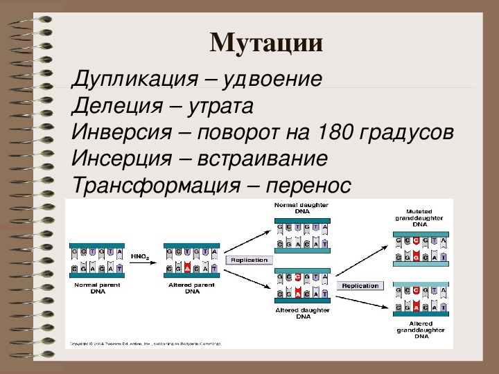 Схема мутации генные