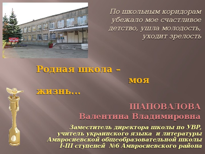 Обложка для материала Творческий отчет. Презентация из опыта работы "Моя школа - моя жизнь"