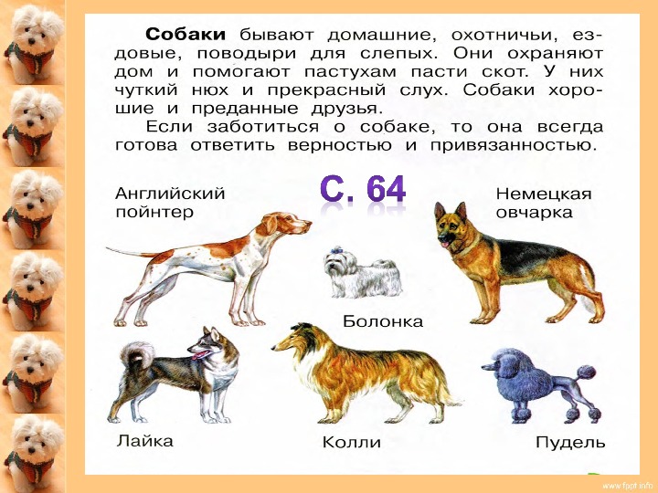 Составь рассказ из трех частей по плану мальчик находит щенка ответ