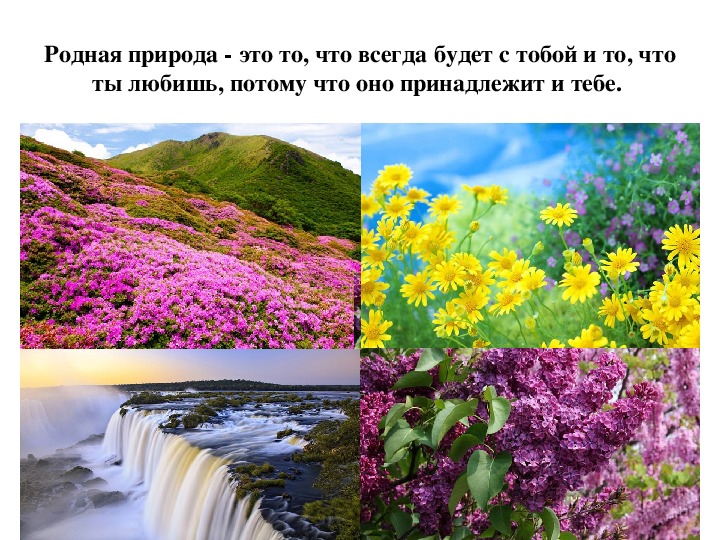 Разнообразие родной природы 3 класс. Ознакомление с природой родного края. Разнообразие природы картинки. Разнообразие природы родного края Ульяновск. Природное разнообразие.